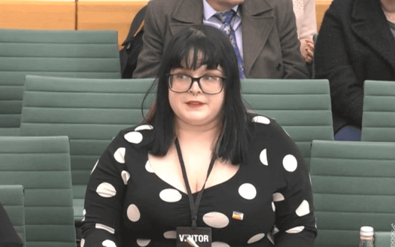 Abigail Broomfield giving evidence in a Commons committee room
