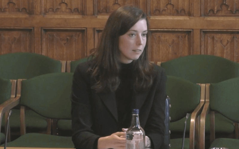 Chloe Schendel-Wilson giving evidence in a Commons committee room