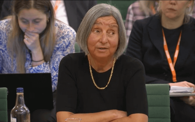 Fazilet Hadi giving evidence in a Commons committee room, with people sitting behind her