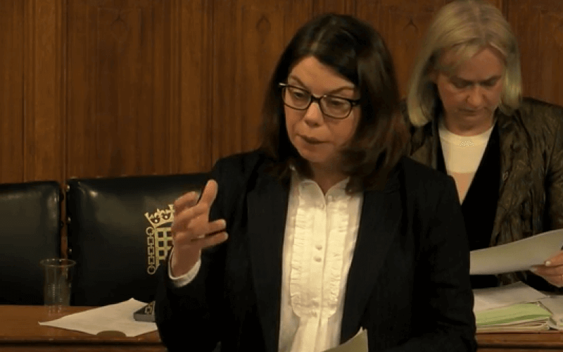 Sarah Olney giving evidence in a Commons committee room